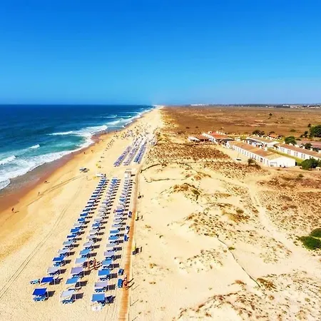 New !! Capitan In Tavira